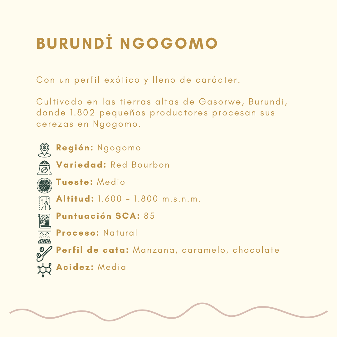 Burundi Ngogomo