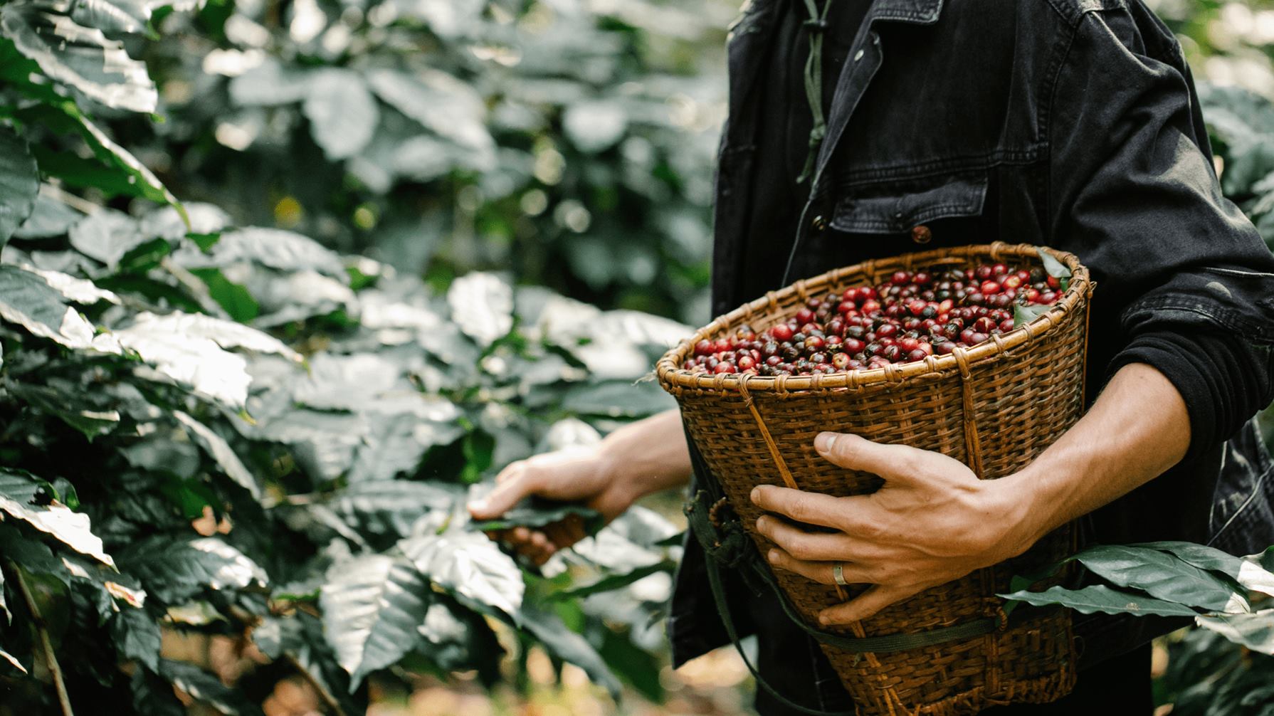  Café que conecta, sabor que inspira