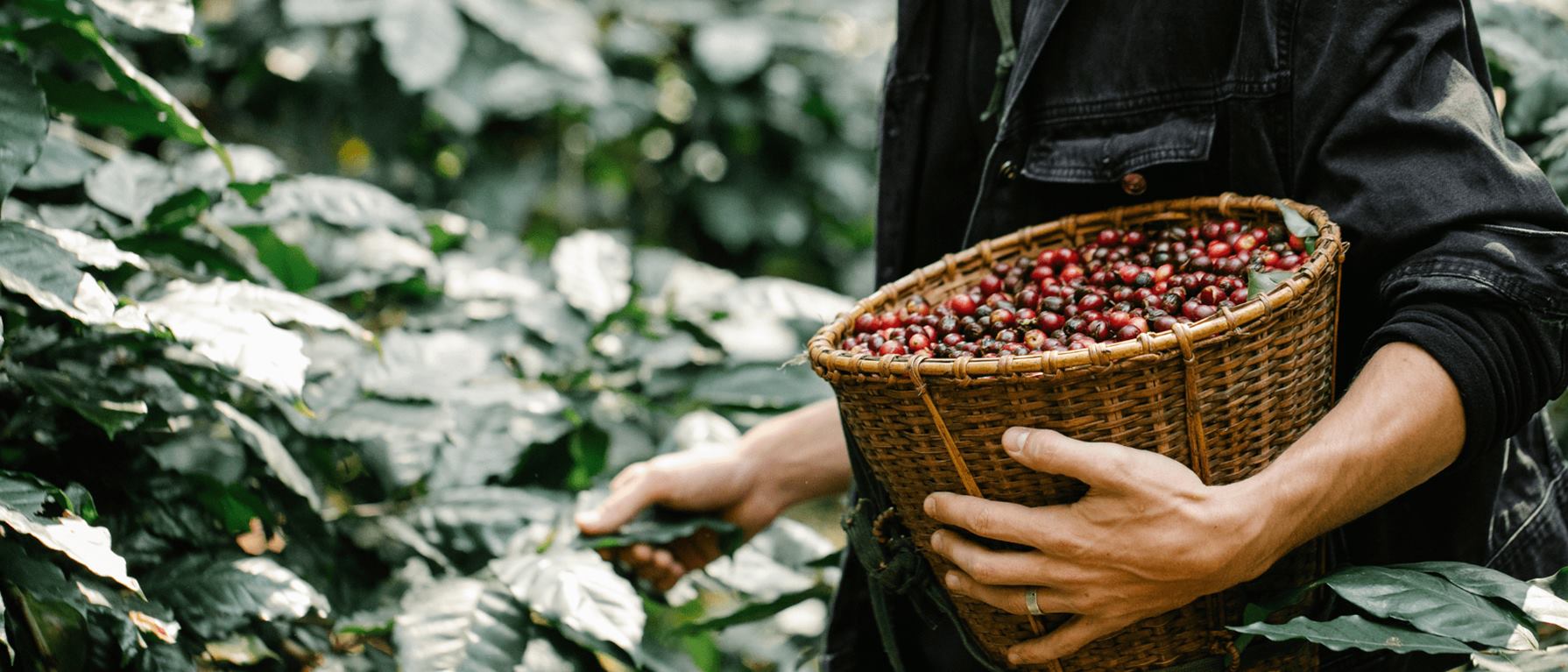  Café que conecta, sabor que inspira