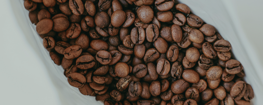 Los mitos más comunes sobre el café y la verdad detrás de ellos