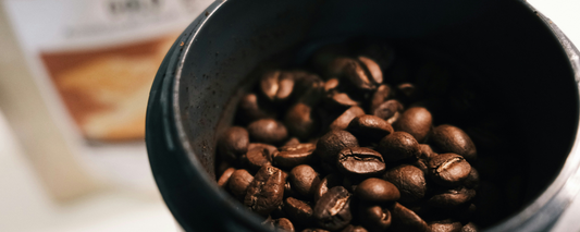 Diferencias entre Café Arábica y Robusta: ¿Cuál es la mejor opción para ti?